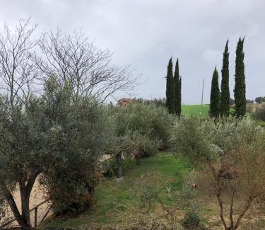 Monte Giberto House | Locanda del Sole