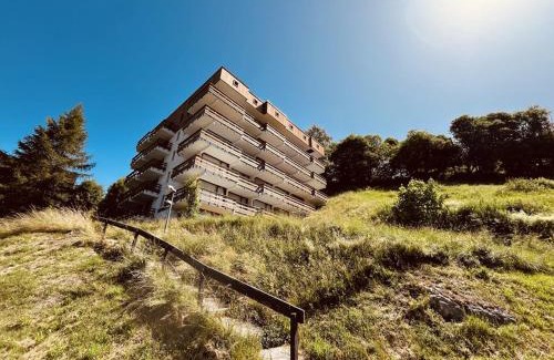 Plan Peisey Apartment | Location Studio 4 pers avec balcon à Plan Peisey - FR-1-757-105