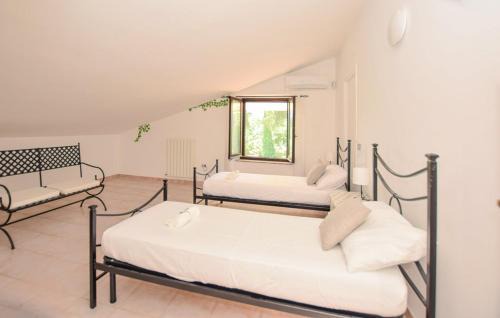 Vignanello Apartment | Locazione Turistica Oasi delle 2 F