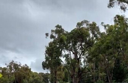 Mount Panorama Cottage | LOCHINVAR/Maple Cottage is a hidden gem