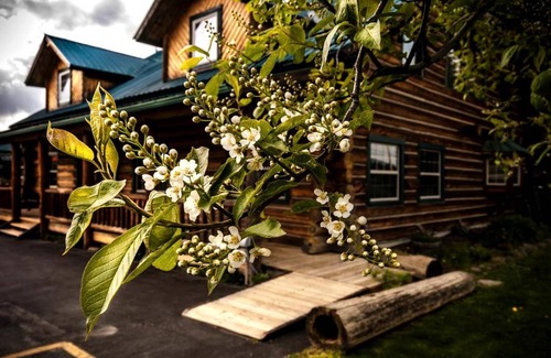 Bonners Ferry Cabin | Lodge ∙ 1 bedroom ∙ 2 guests