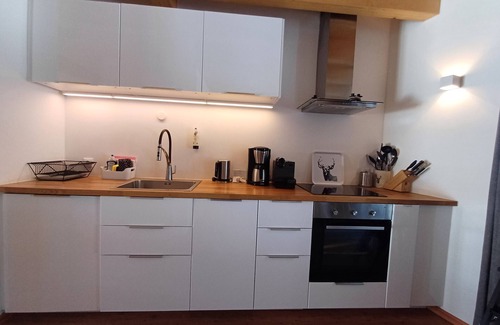 Enzingerboden Ski Chalet | Lodge Seeblick 161 in the Tauern village of Enzingerboden