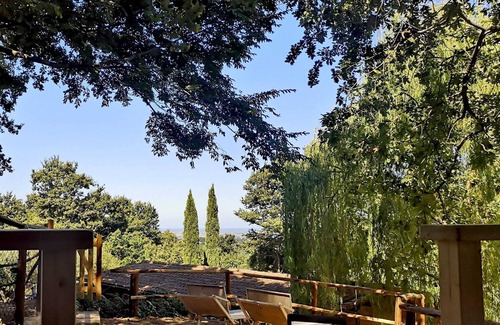 Montescudaio Apartment | Lodge tent Ginestra 4 p.