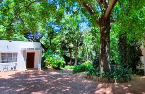 Baileys Muckleneuk Apartment | Loerie's Nest