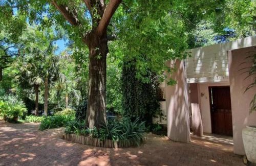 Baileys Muckleneuk Apartment | Loerie's Nest