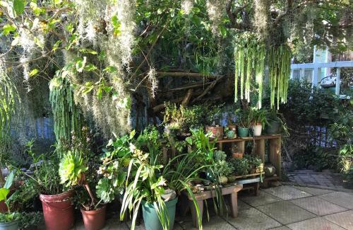 Hunter's Home Apartment | Loeriewood Garden Apartment, Hunters Home