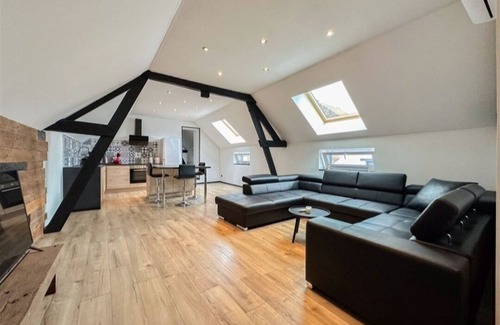 Quievrechain Bed & Breakfast | LOFT 100M2 30MIN FROM PAIRI DAIZA WITH PRIVATE SAUNA - BALNEO XXL