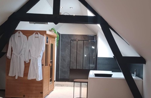 Quievrechain Bed & Breakfast | LOFT 100M2 30MIN FROM PAIRI DAIZA WITH PRIVATE SAUNA - BALNEO XXL