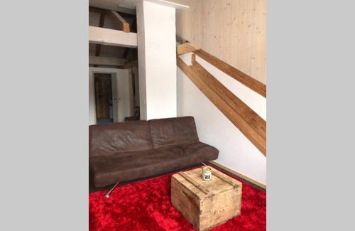 Susch Apartment | Loft 100m2, im Ökohaus in Susch