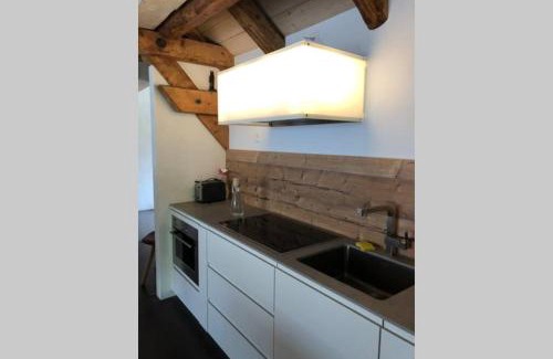 Susch Apartment | Loft 100m2, im Ökohaus in Susch