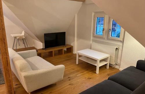 Zug Apartment | Loft Apartment in Central Zug