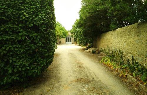 Moux Apartment | Loft atelier dans ancien domaine viticole