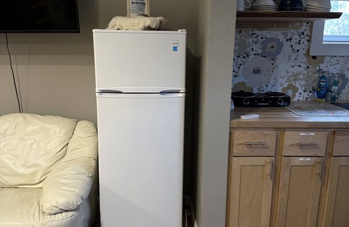 Big Rapids Cabin | Loft Cabin #2