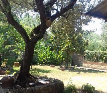 Quartiere XX Ardeatino Apartment | Loft con giardino in zona Appia Antica