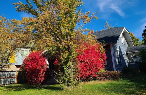 Garden District House | Loft near lake cda/midtown area. walking to stores, restaurants, lake.