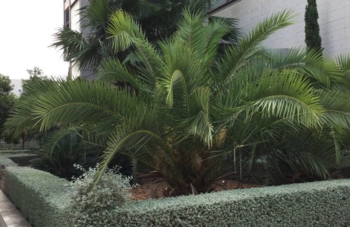 Patraix Apartment | Loft with terrace of 24m2, swimming pool, garden and garage.