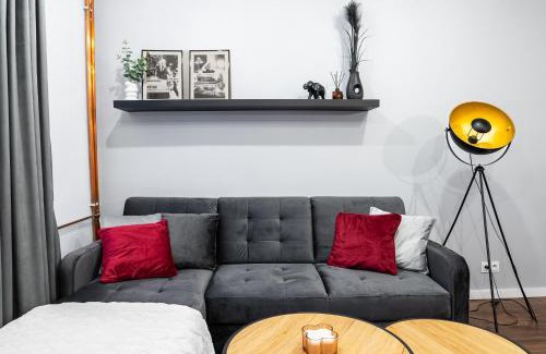 Grunwald Apartment | Loftowy apartament na Łazarzu