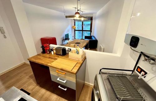 Felechosa Apartment | Lotila Flats Fuentes