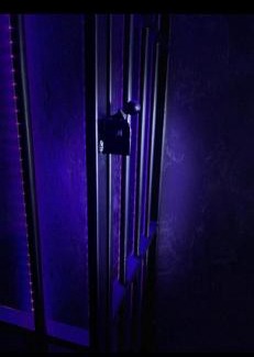 Sector 4 House | Love Room