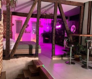 Leguevin Apartment | Love Room Toulouse