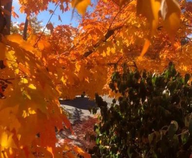 East Thermopolis House | Loved By Guests ! Highly Rated, Location Perfect, Pools One Minute, Amenity-Rich, Cozy Comfort, and Pup Friendly, Discover An Exceptional Wyoming Stay, Thermopolis River Walk Home at Hot Springs State Park, 'Where Families and Fisherman Stay'