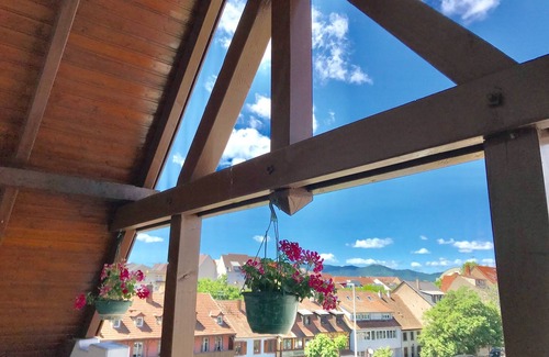 Quartier Saint-Leon Apartment | Lovely 3* Apartment Colmar Center with A/C Terrace with View and Private Parking