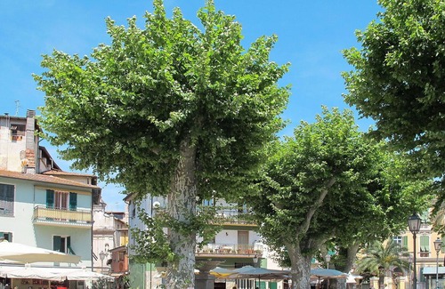 Dolceacqua Apartment | Lovely apartment for 5 guests with WIFI, TV and balcony