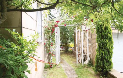 Bad Pyrmont Apartment | Lovely Apartment In Bad Pyrmont