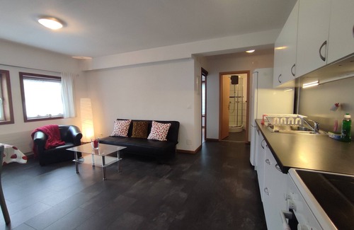 Boenigen Apartment | Lovely apartment in classic Chalet by the lake