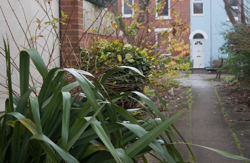 Exeter House | Lovely, comfortable 3 bedroom Victorian Terraced House in downtown location