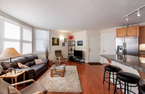 Telluride Condo | Lovely Contemporary condo with Prime Location - Easy Ski & River Access