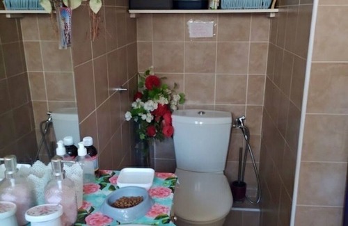 Six-Fours-les-Plages Apartment | Lovely studio with garden within walking distance of the beach