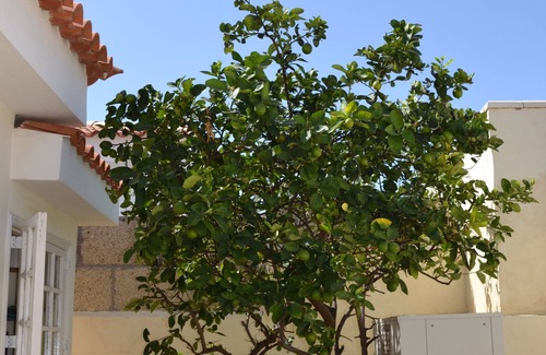 Callao Salvaje Villa | Lovely Three bed Villa, Private Pool , Walking Distance of Beach and Facilites