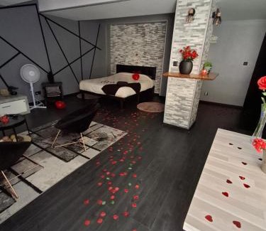 Tournon-sur-Rhone Apartment | Loveroom&Spa Dreamroom