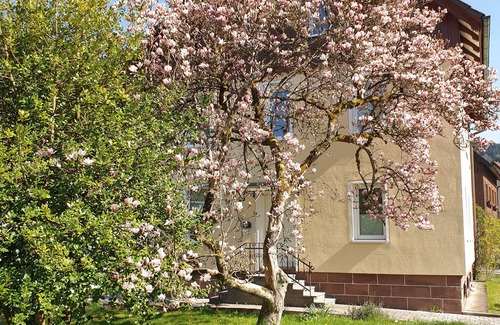 Alpirsbach Apartment | Lovingly furnished guest apartments Alpirsbach - Apartment 1
