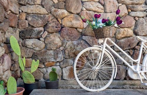 Putifigari Apartment | Lu Casal de Fiò