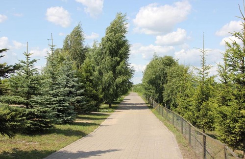 Zhiryatinskoe Resort | Lukomorye Baza Otdykha