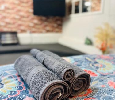 Oamaru Apartment | Lune-tastic Guesthouse