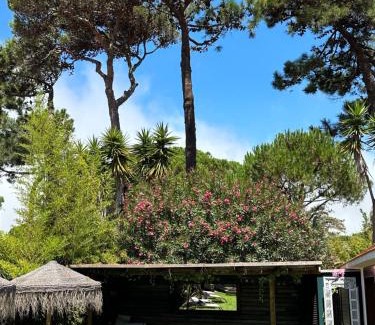 Quinta da Marinha Villa | Lux Quinta da Marinha