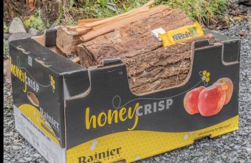 Ashford House | Luxe Chalet at Rainier Entrance with Hot Tub-AC-WiFi