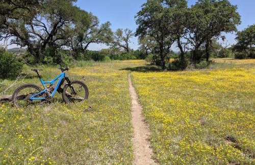 Dripping Springs Other | Luxe Modern Treehouse w Heated Pool, Firepit