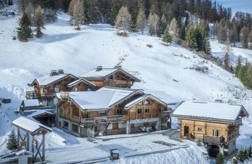 Plagne 1800 Ski Chalet | Luxueux chalet 7 chambres avec jacuzzi et sauna, proche télésiège - FR-1-181-2793