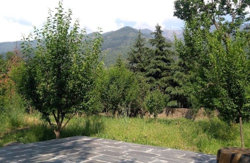 Benchi Resort | Luxurious independent cottages near Manali