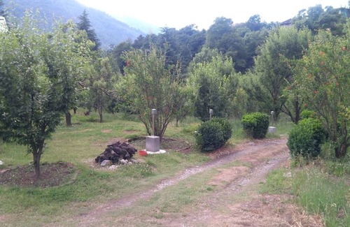 Benchi Resort | Luxurious independent cottages near Manali