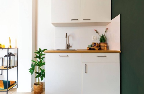 Tilburg House | Luxurious room, newly renovated bathroom, free use of kitchen en washer, and easy to go to the unive