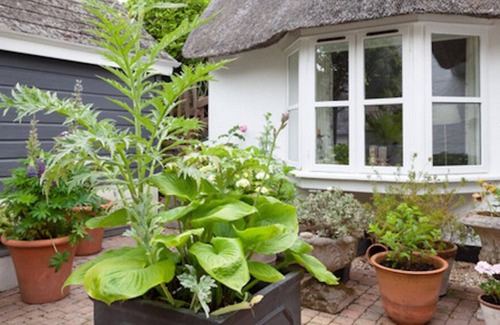 Thurlestone Cottage | Luxurious thatched cottage in picturesque coastal village of Thurlestone S.Devon