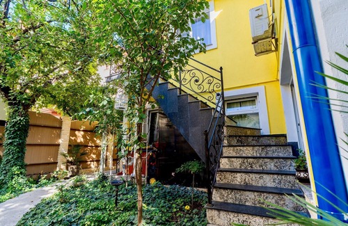 Sector 1 House | Luxurious Villa - Courtyard, Terrace & Garden