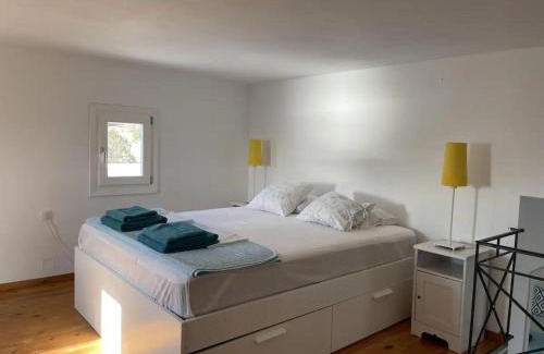 Delfini Villa | Luxurious Villa on the famous glp cat sanctuary