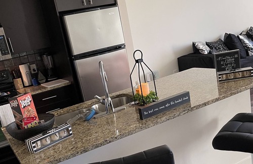 North Ormewood Park Condo | Luxury 1Bedroom Loft in Glenwood Near Grant Park/ with Pool