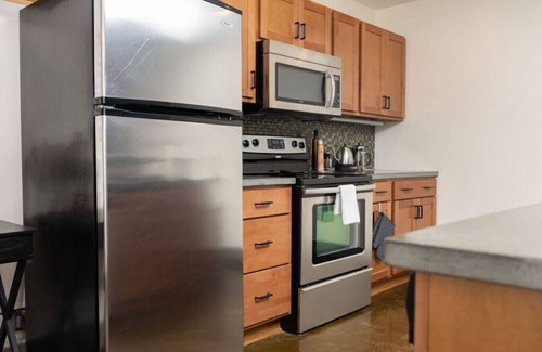 Roanoke Apartment | Luxury 2 bedroom apt with exposed brick downtown